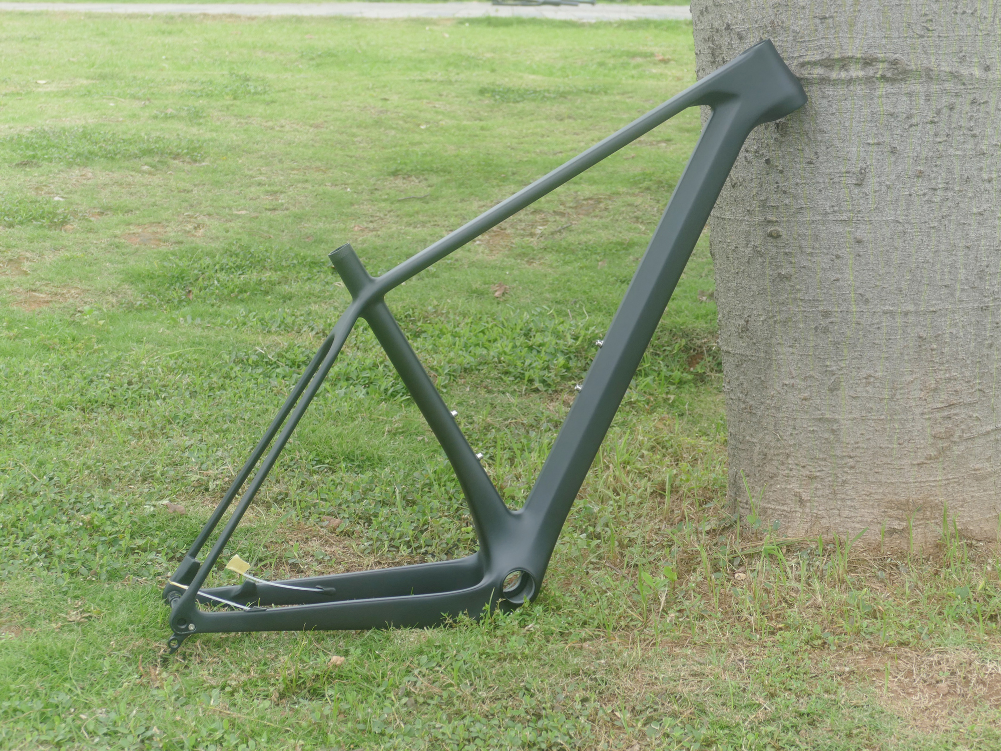 A2   Brand New Full Carbon 29E - đánh giá và giá Mountain Biking Brands