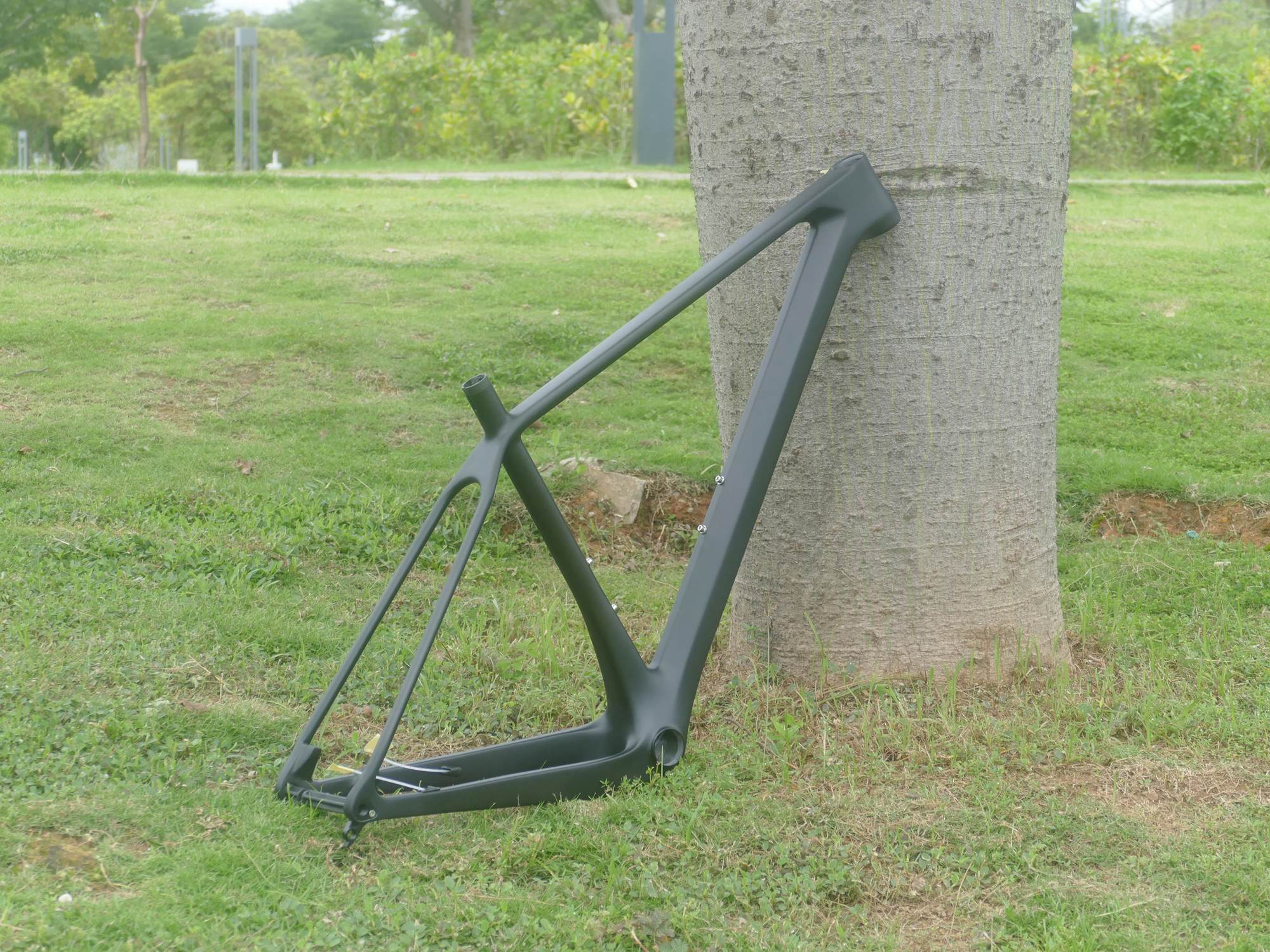 A2   Brand New Full Carbon 29E - đánh giá và giá Mountain Biking Brands