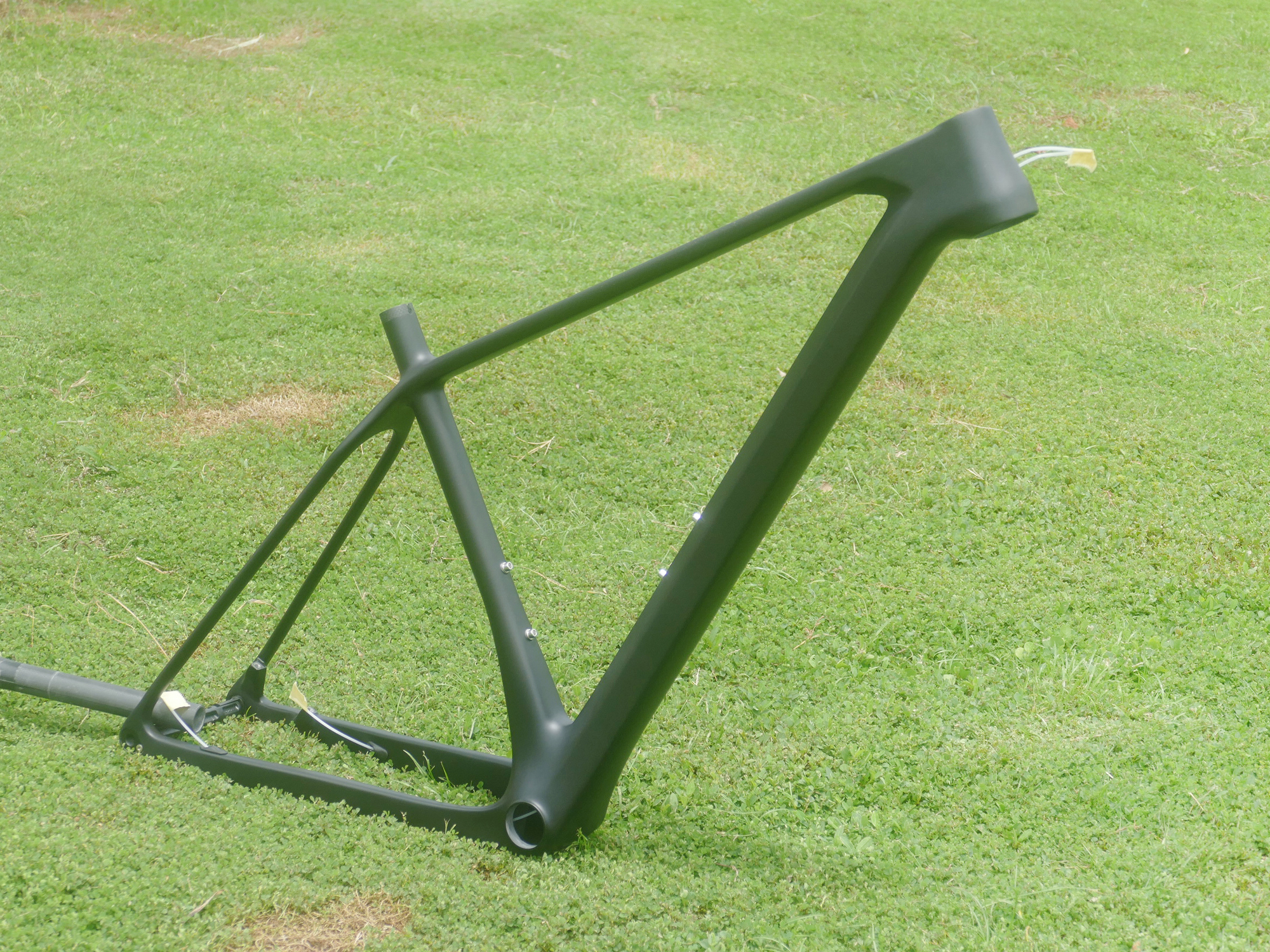 A02  Brand New Full Carbon 29E - đánh giá và giá Mountain Biking Brands
